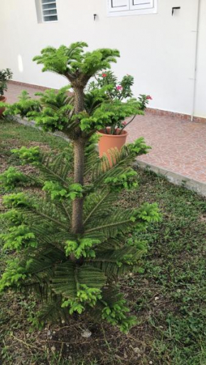 Villa Papillon